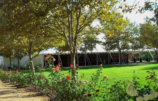 event tents for rentals